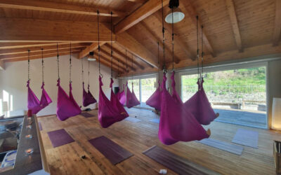 Teacher Training Fly Yoga